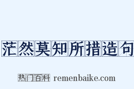 茫然莫知所措造句是什么意思的图片